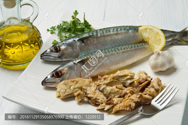 鯖魚