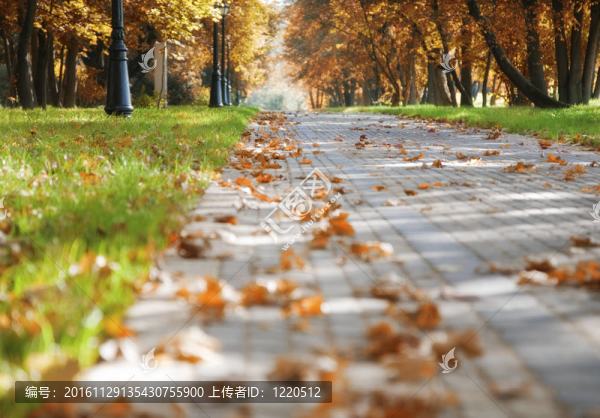 在秋天的公園步道