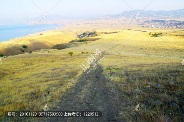 山