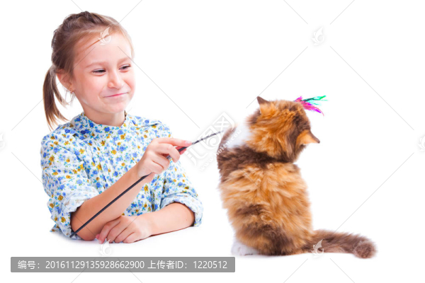 玩滑稽烏龜?shù)挠∝? title=