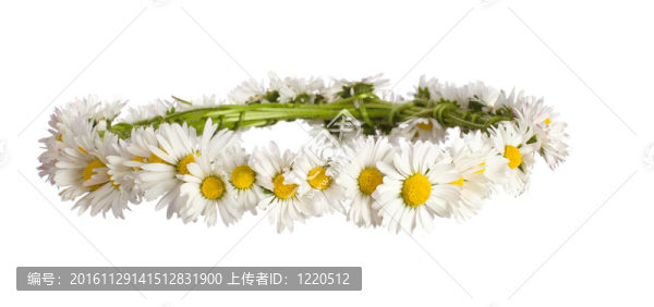 花環(huán)
