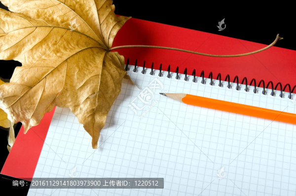 寫作主體