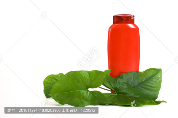 對shampooand綠葉瓶