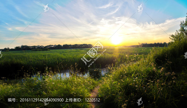 美麗的春天的黃昏
