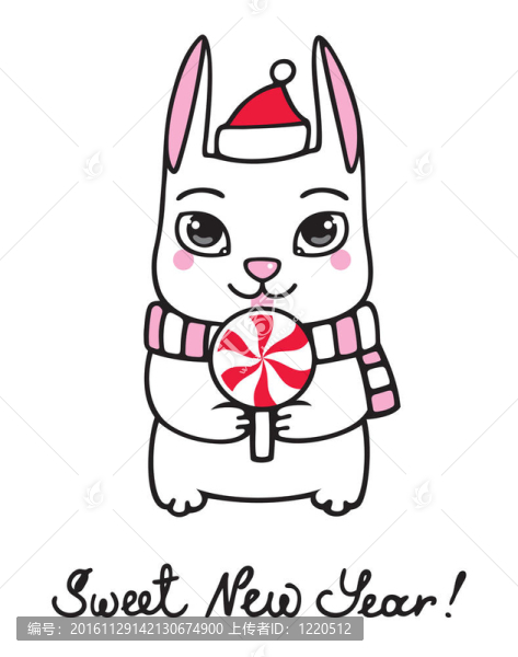 新的一年的兔子