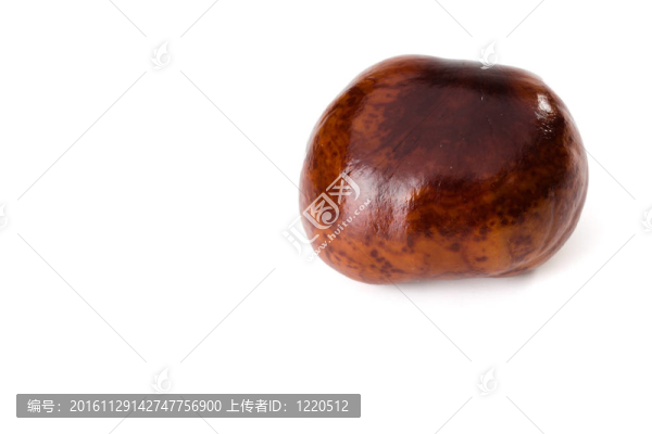 板栗