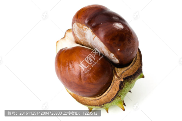 板栗