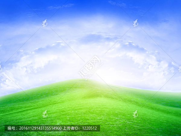 草地