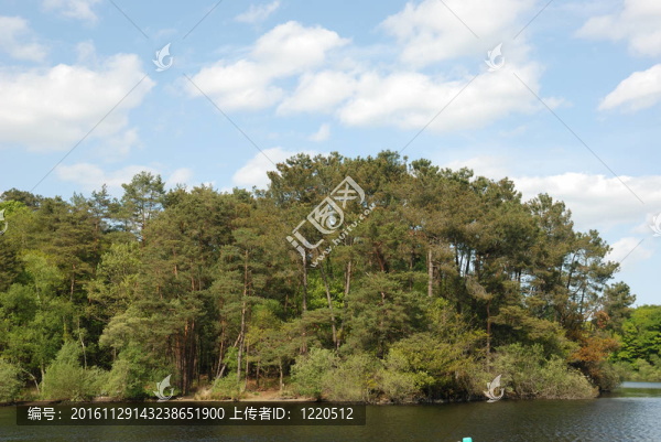 森林和湖泊
