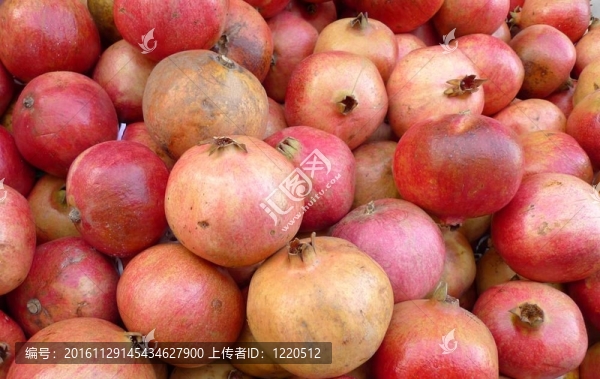 石榴蘋果