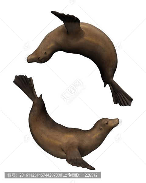 雙封式密封