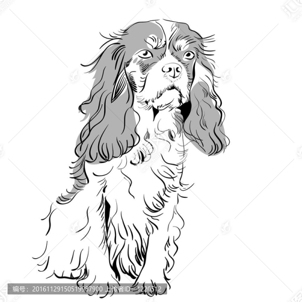 向量的純種犬查爾斯王小獵犬
