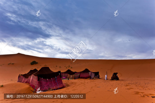 貝都因人的帳篷在撒哈拉沙漠