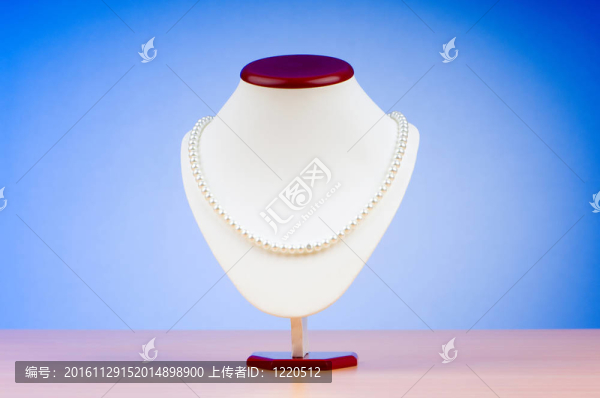 帶項(xiàng)鏈的時(shí)尚概念