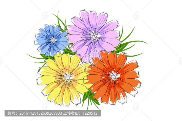 美麗的花朵