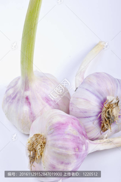 韭菜