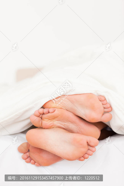 一堆腳的肖像