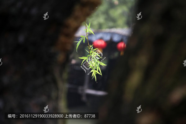 南潯