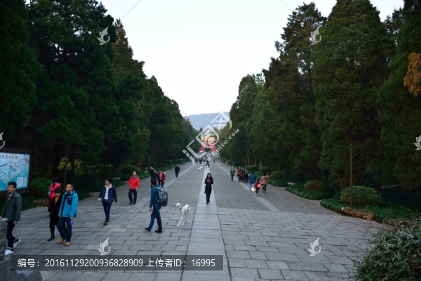 明孝陵