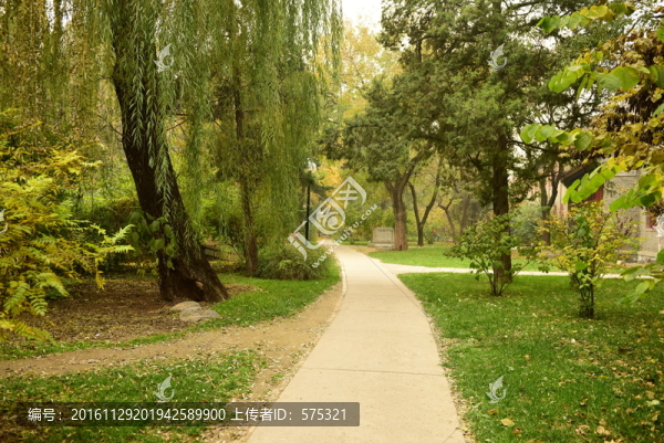 北大校園路