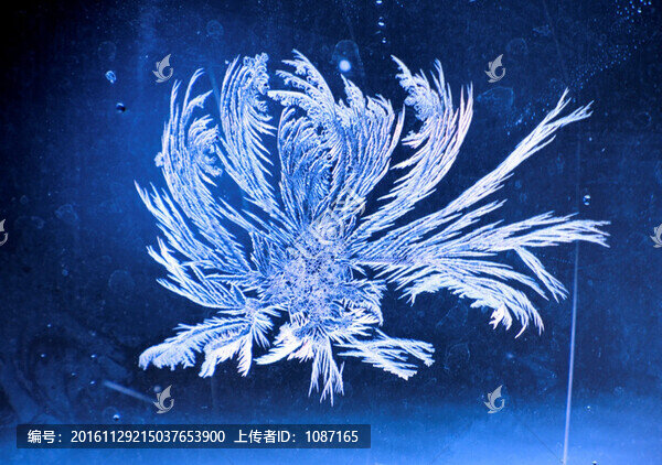 冰霜窗花