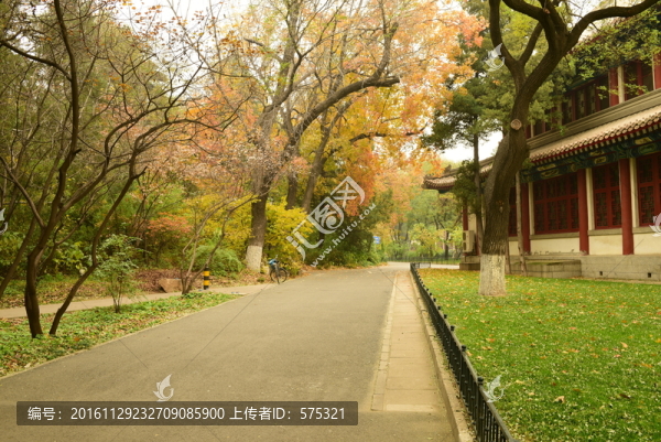 秋色,小路