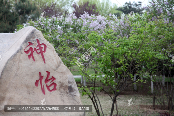 遷西灤河公園