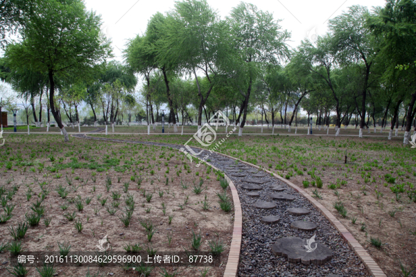 遷西灤河公園