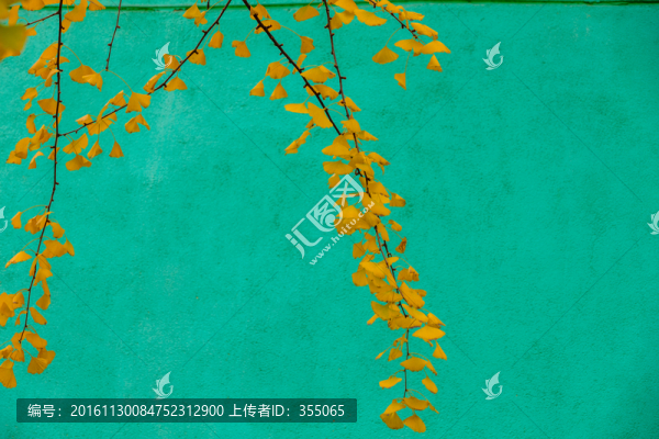 銀杏