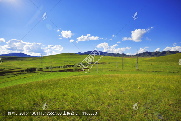 草原風(fēng)景