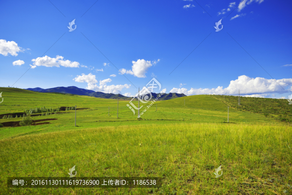 草原風(fēng)景