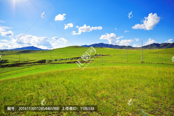 草原風(fēng)光