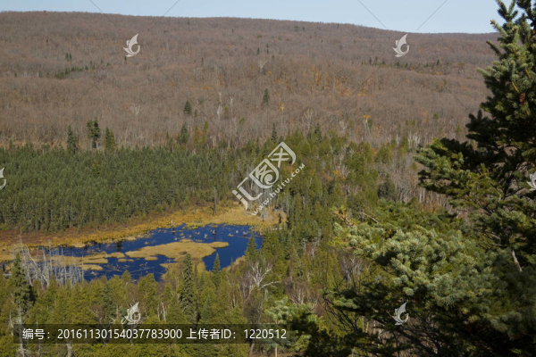 奧伯格的山景