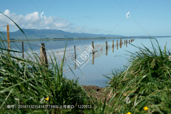 農(nóng)村湖風(fēng)景。