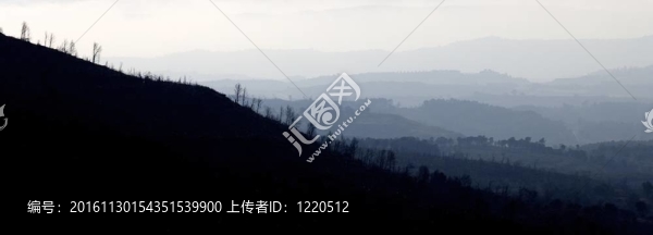 山