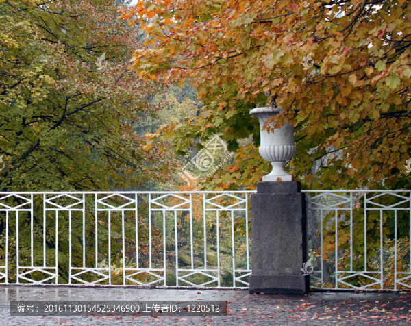 公園