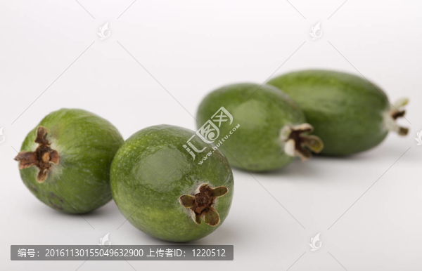 費(fèi)約果果實(shí)特寫