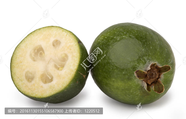 費(fèi)約果果實(shí)特寫