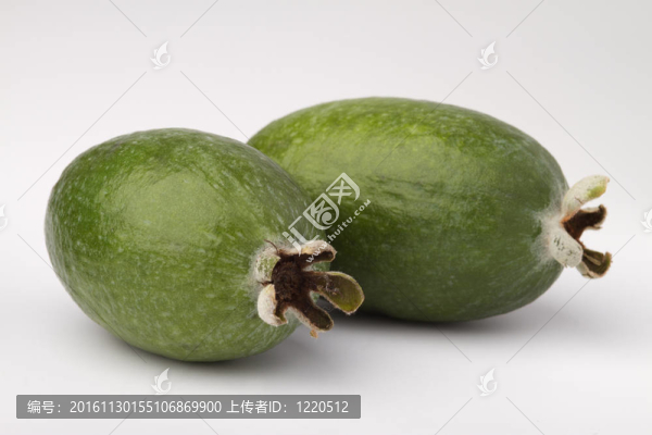費(fèi)約果果實(shí)特寫(xiě)；