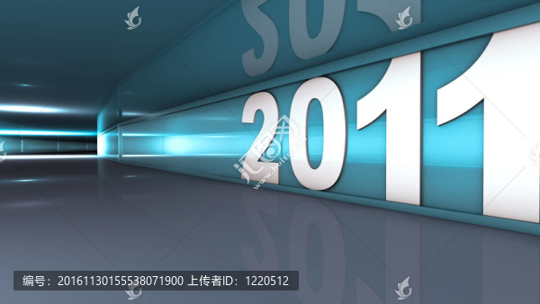 新的一年2011
