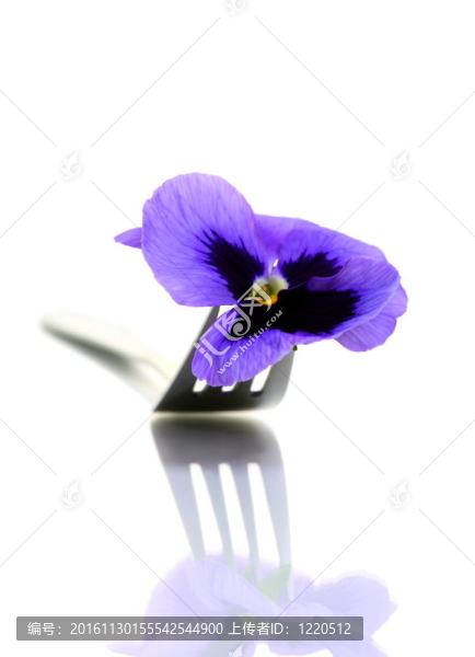 叉子上的花。