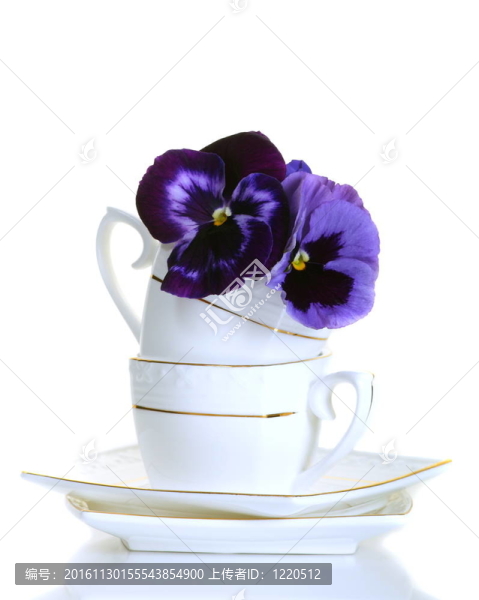 白色背景咖啡杯里的紫羅蘭花。