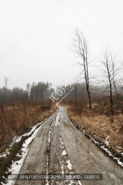 有土路的雪冬景觀