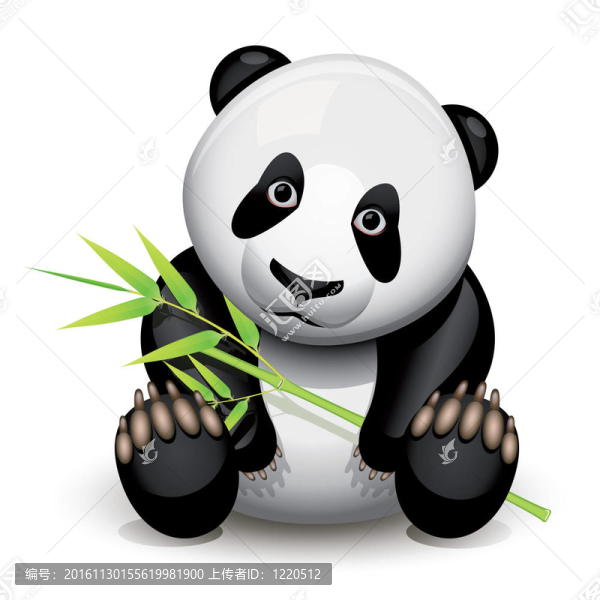 小熊貓