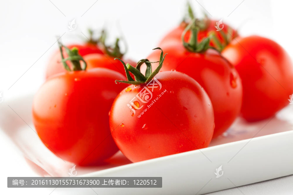 鮮紅色的西紅柿