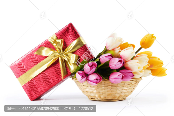 慶祝理念-禮品盒和郁金香花