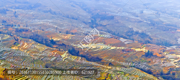 梯田風(fēng)光