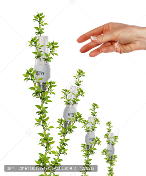 手臂和燈泡