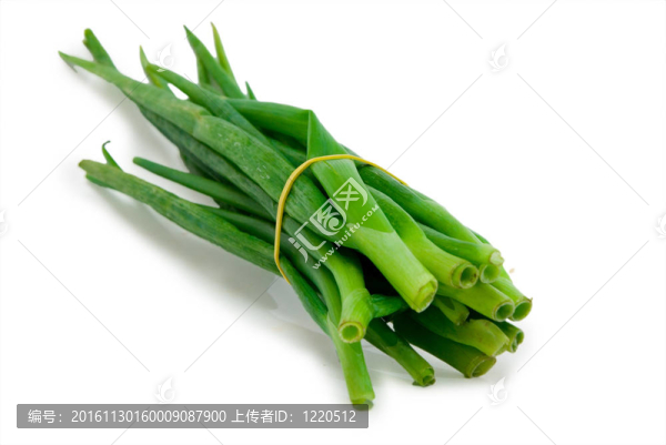 白色背景上的一束蔥