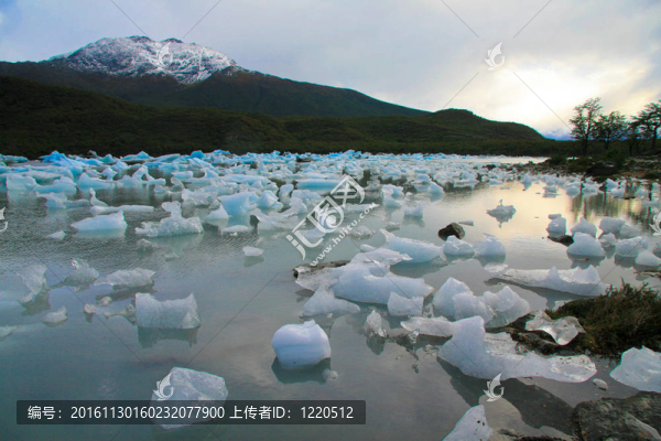 洛杉磯冰川公園在巴塔哥尼亞；阿根廷